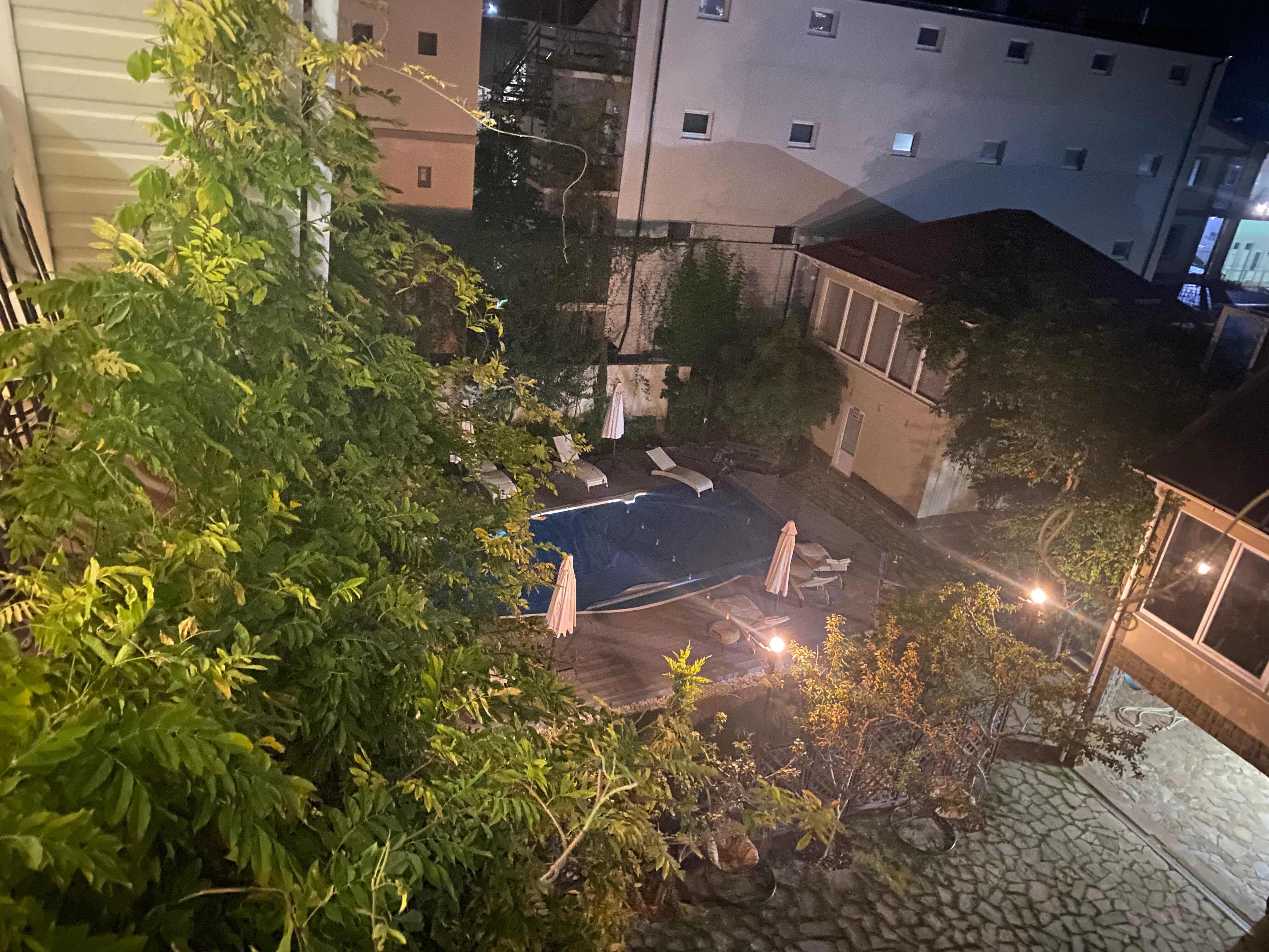 Фото Альяна