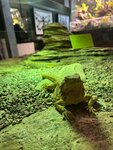 Exzotarium (Kurortny bulvar, 10) ، حديقة الحيوانات