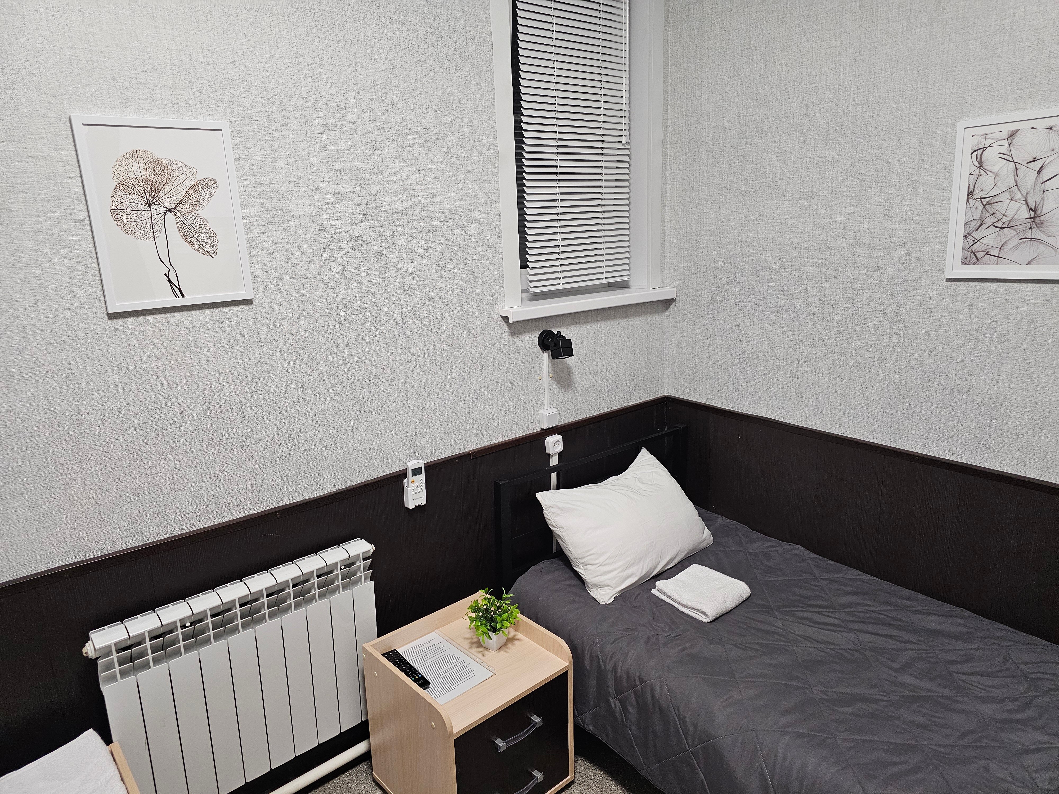 Фото Колибри