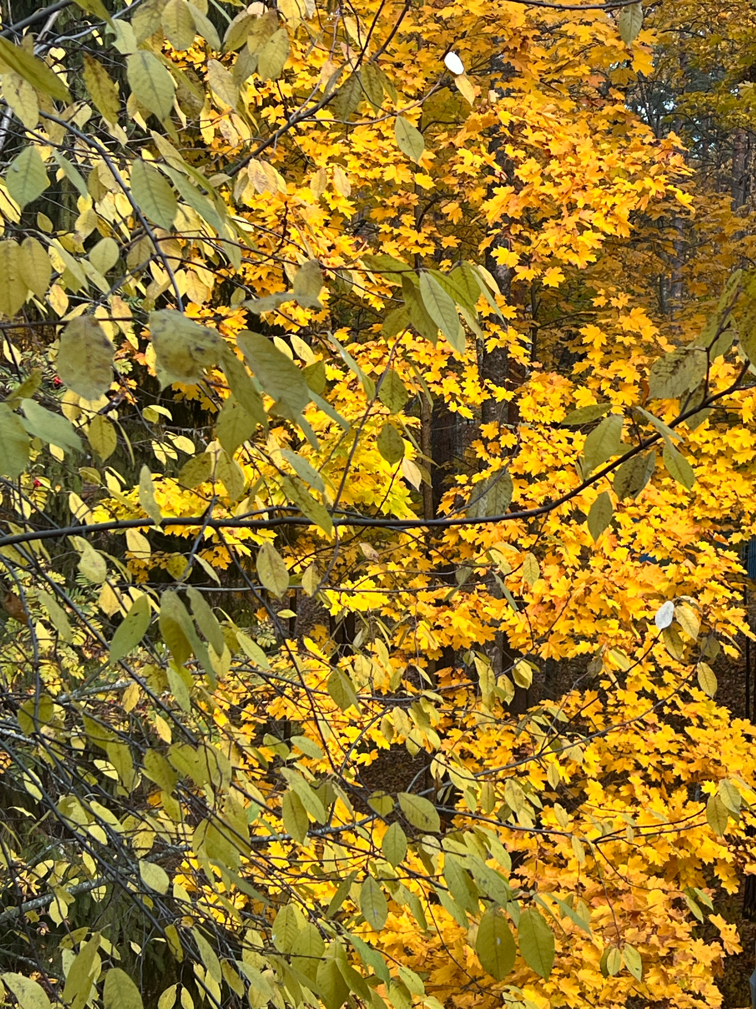 Фото Доброе утро