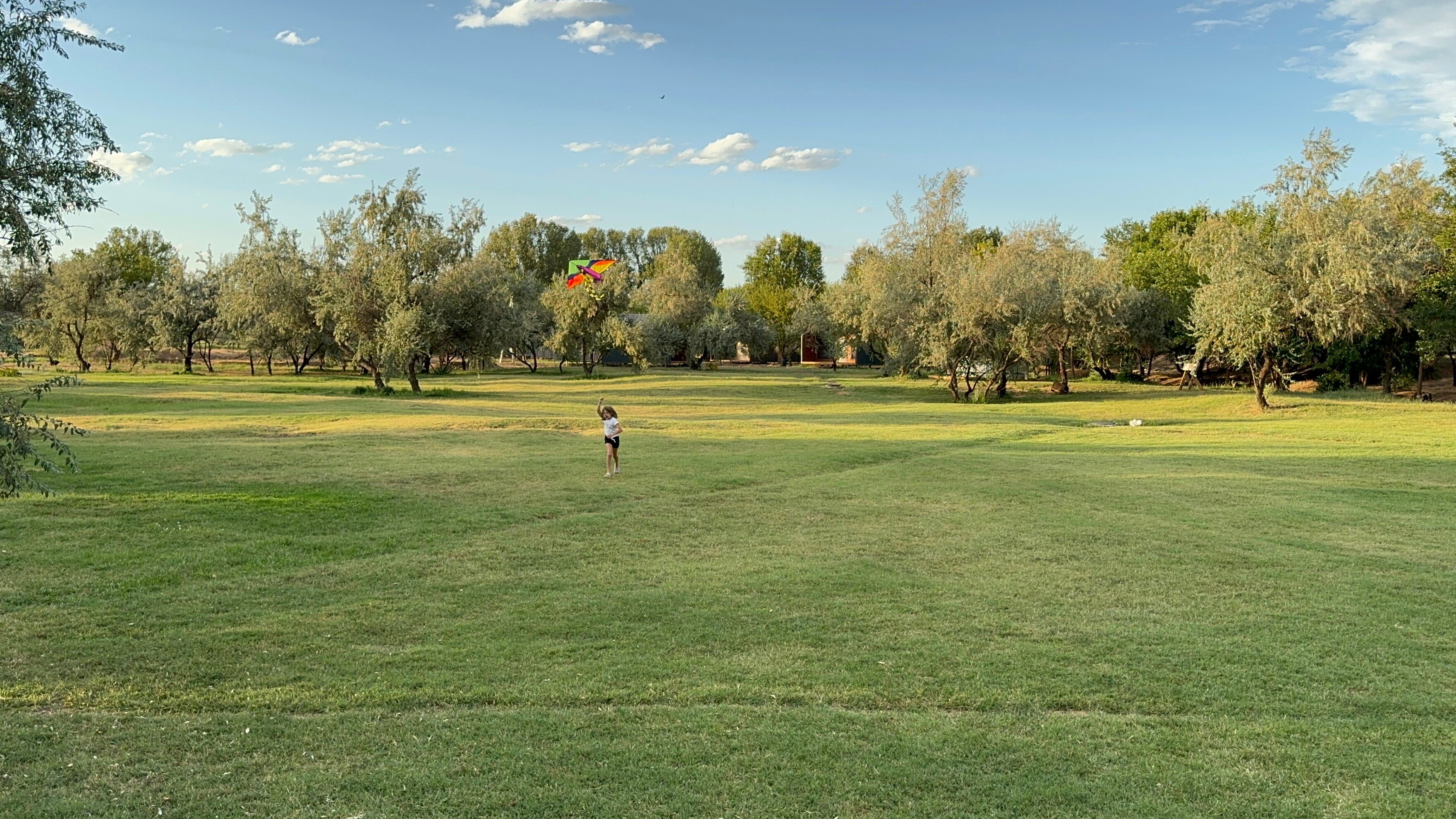 Фото Загородный парк Баклушино
