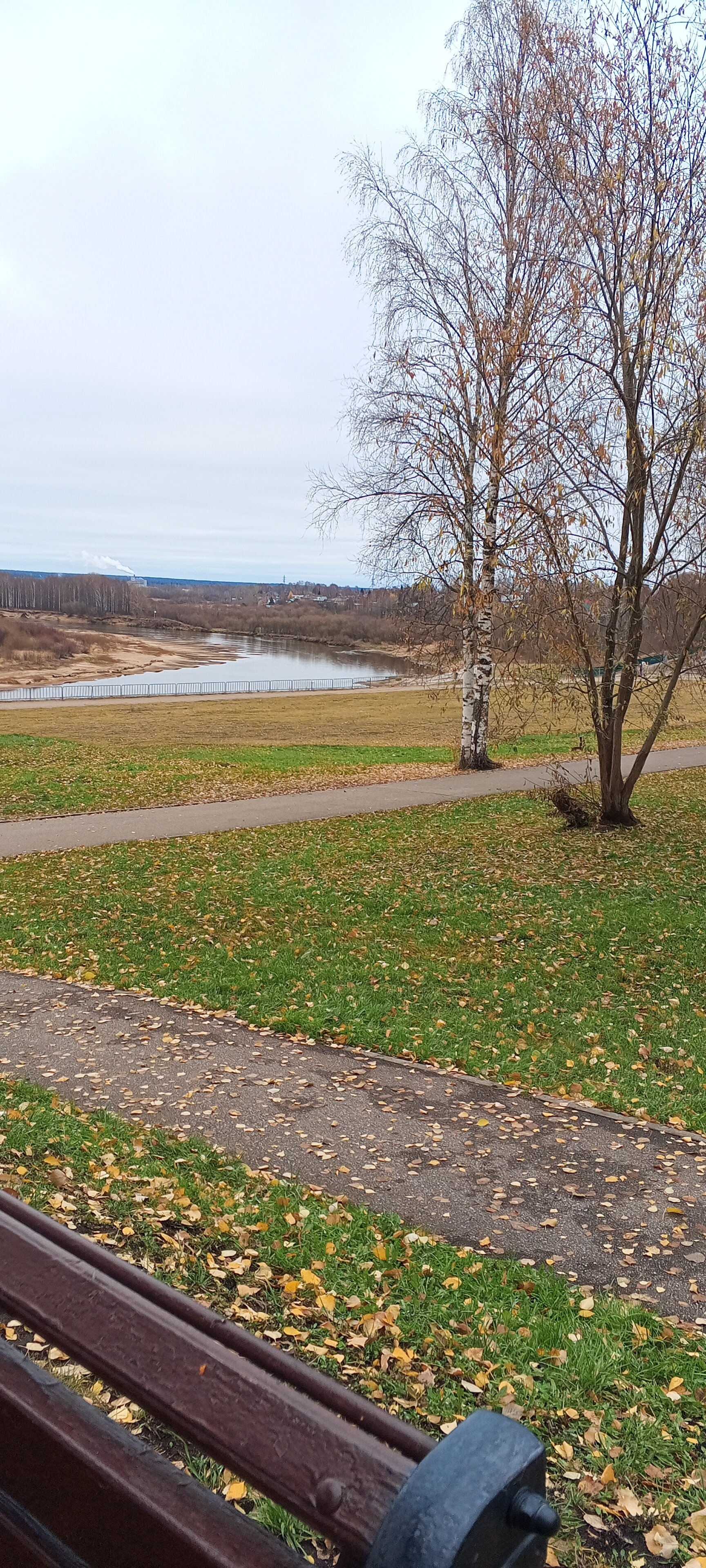 Фото Пелысь