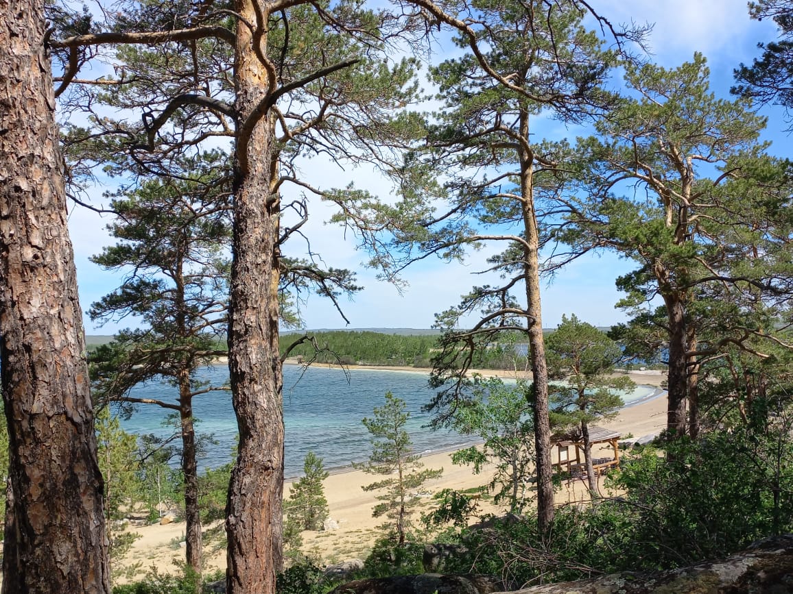 Фото Алтын кун