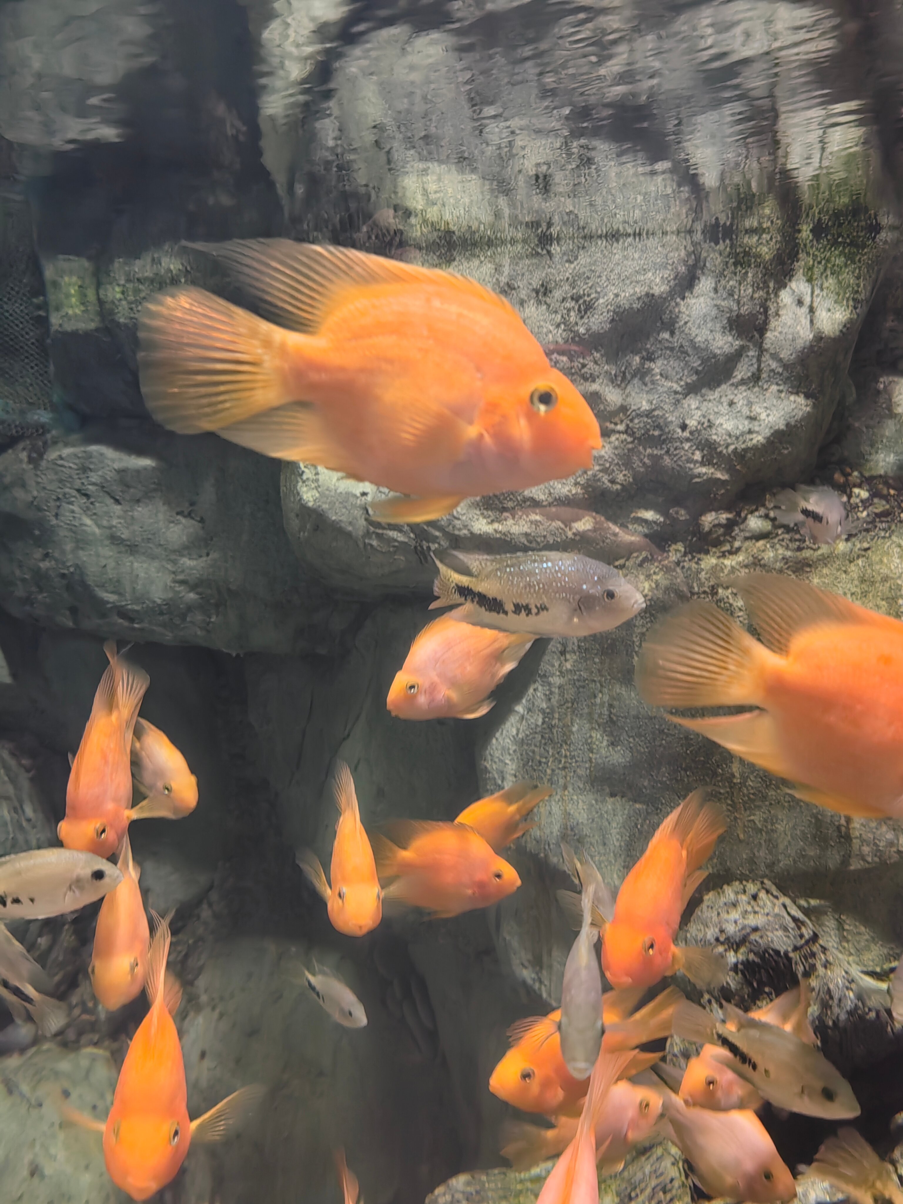 Фото Атлант Сити