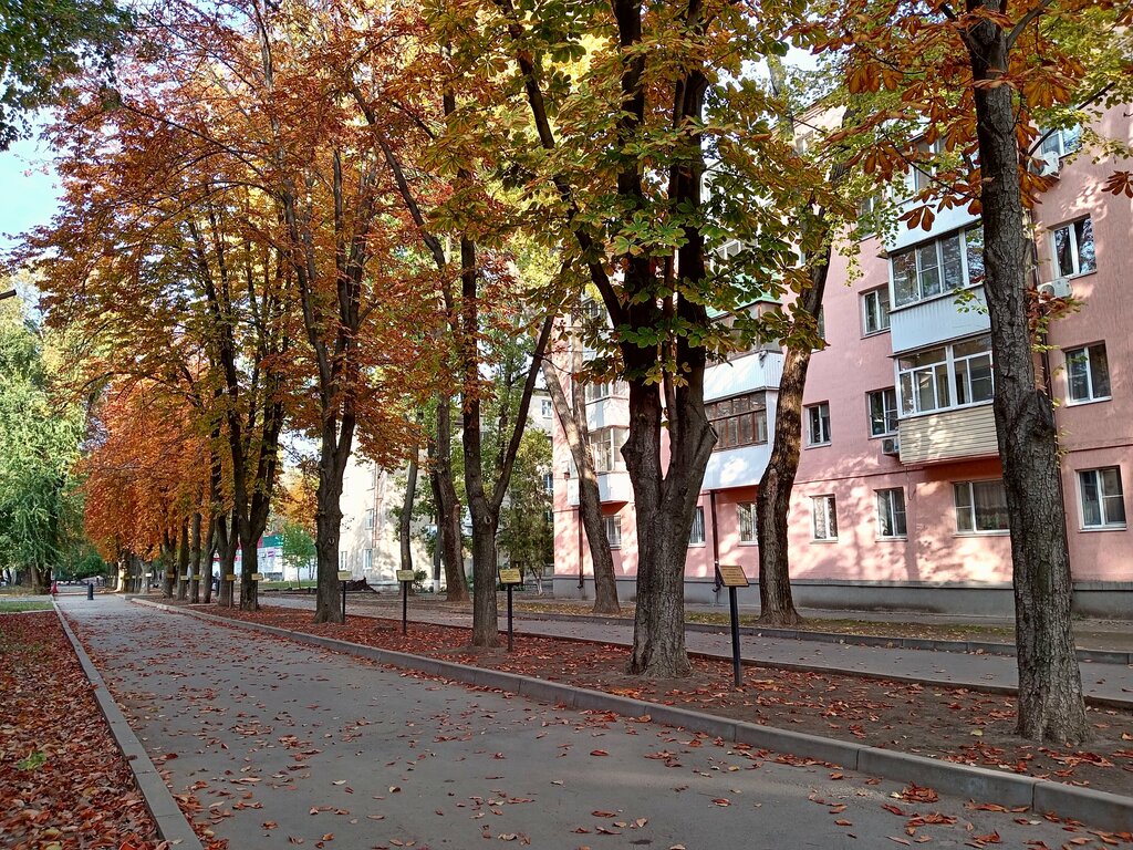 Point of delivery Wildberries, Taganrog, photo