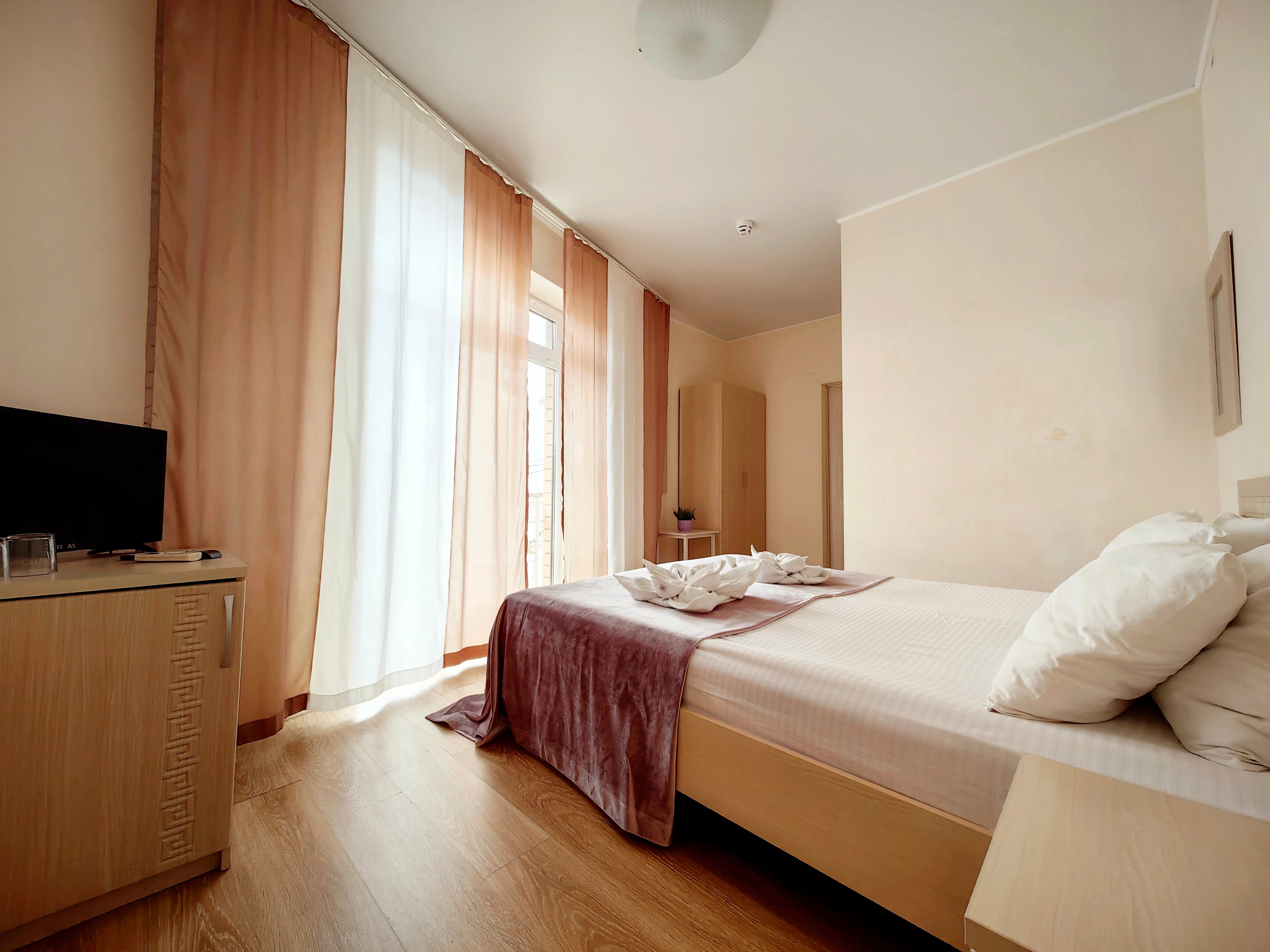 Фото Гиацинт