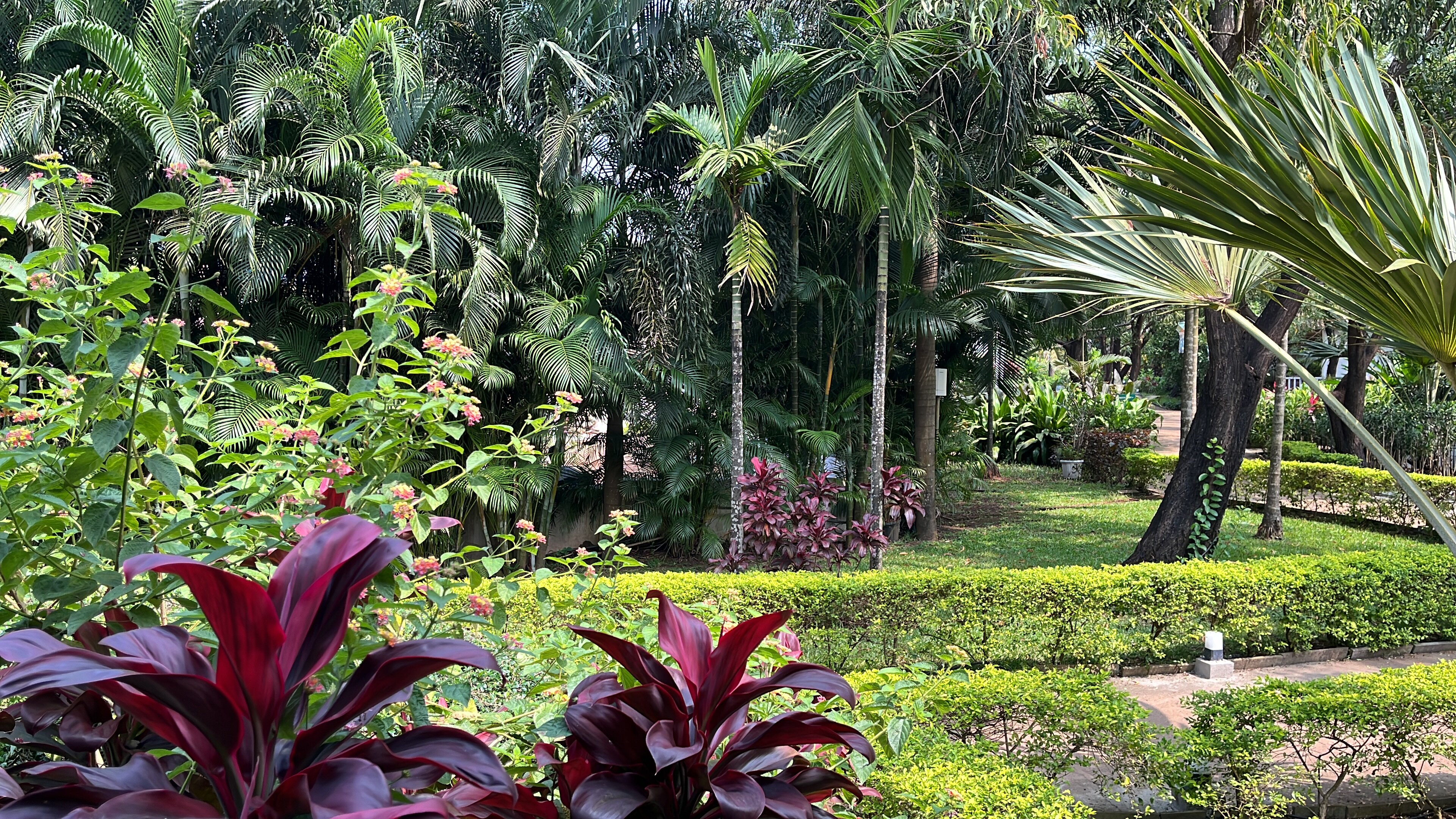 Фото White Woods Resort and Spa