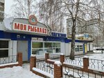 Myfish 63 (Molodyozhnaya Street, 13Б), fish and seafood