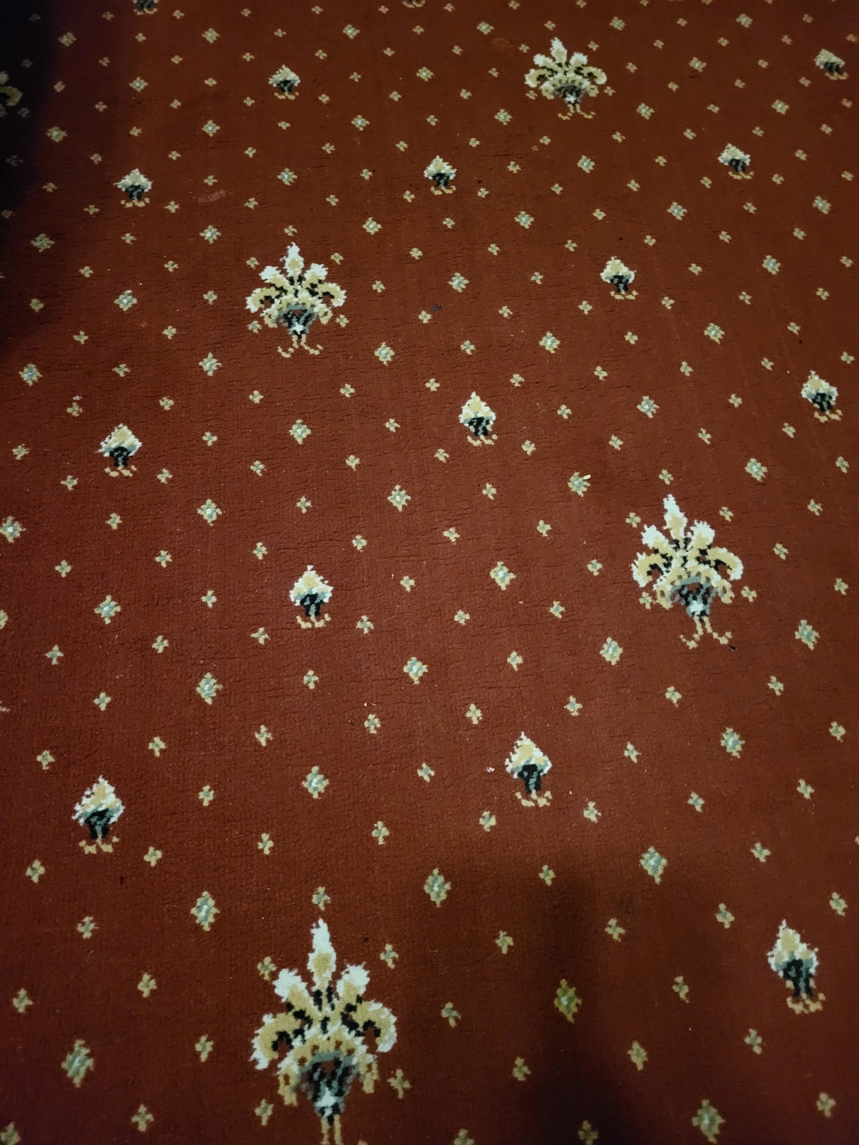 Фото Панорама