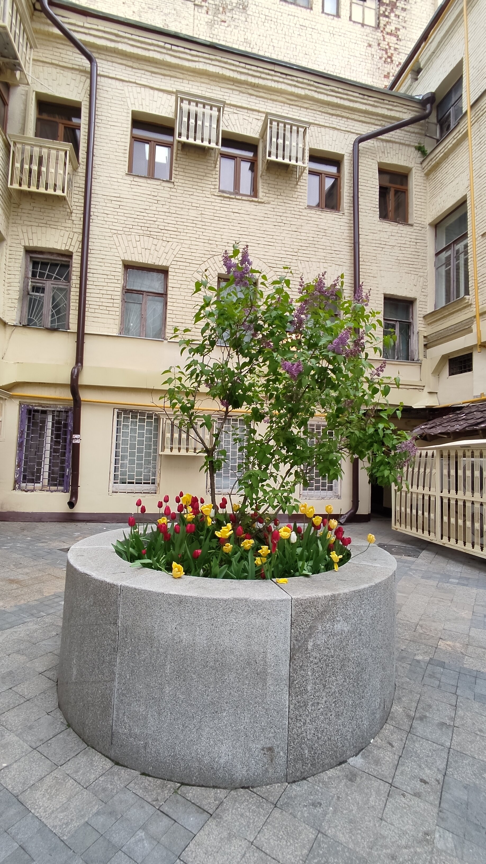 Фото Бокстел