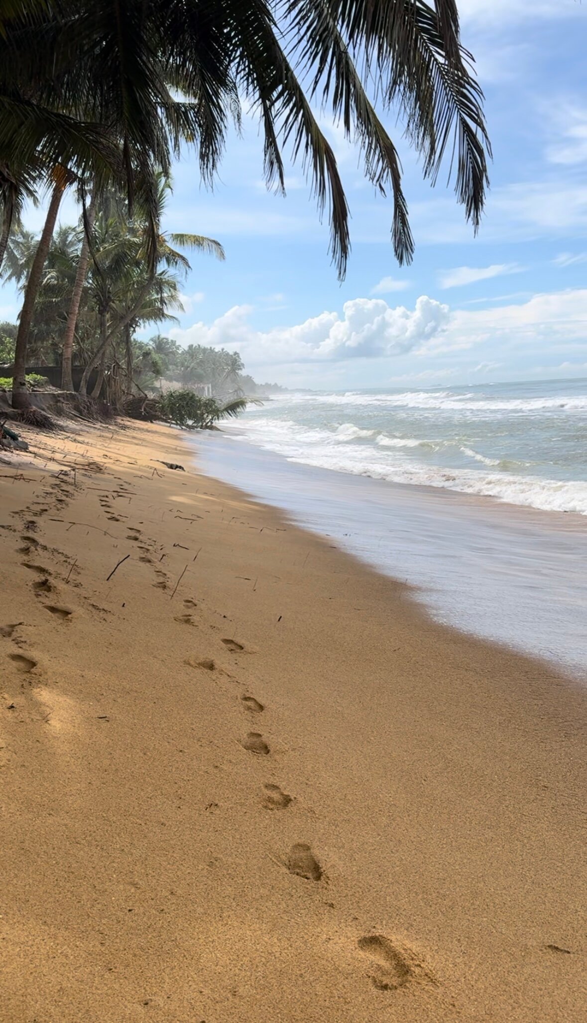 Фото Coco Royal Beach Resort - Waskaduwa