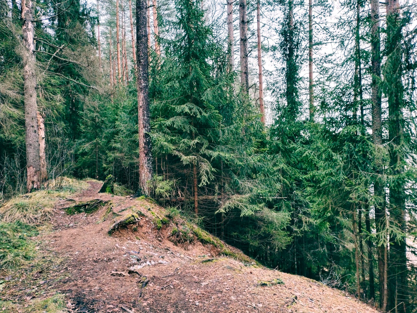 Фото Пикник 2.0