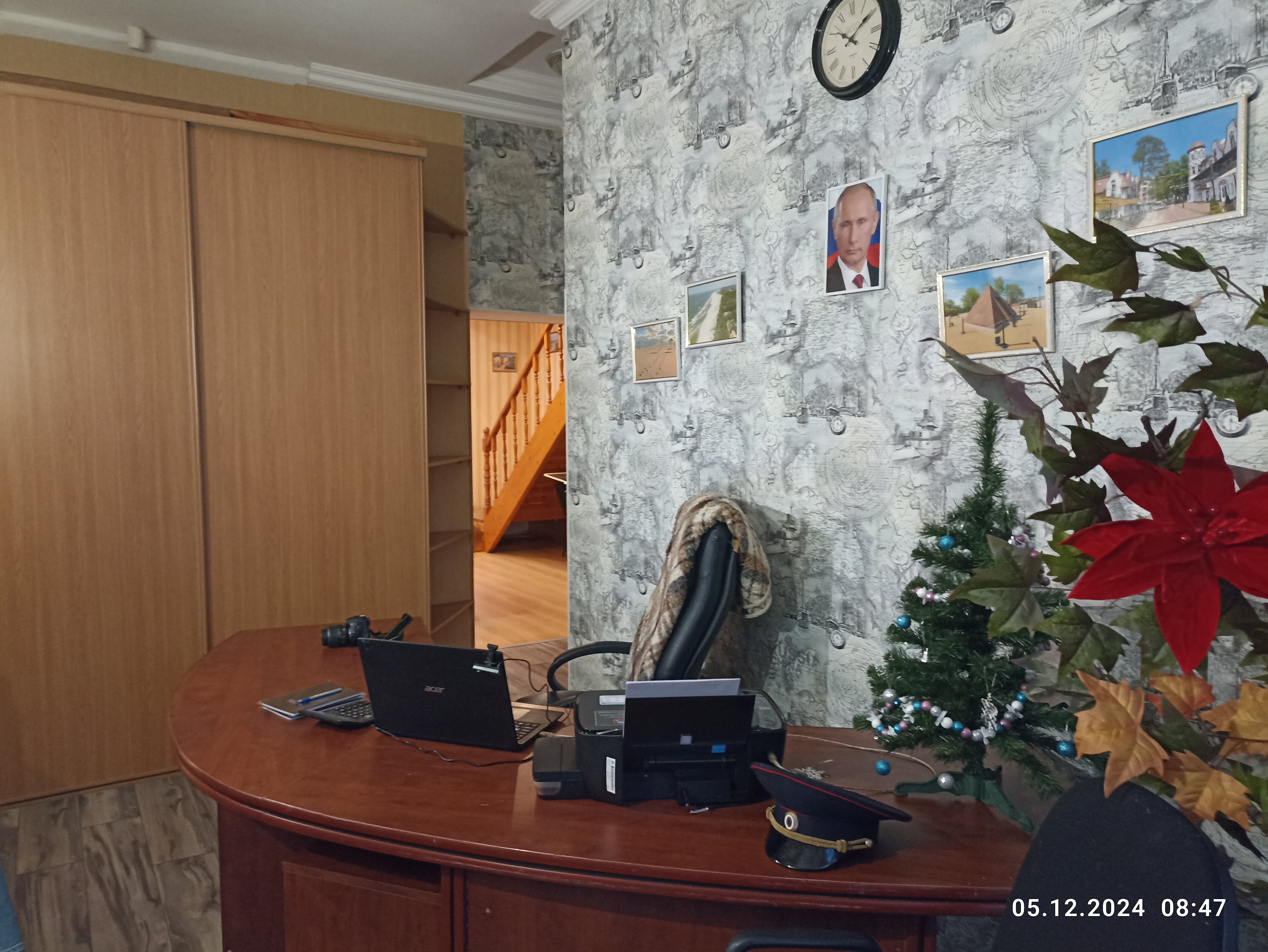 Фото Королевская звезда