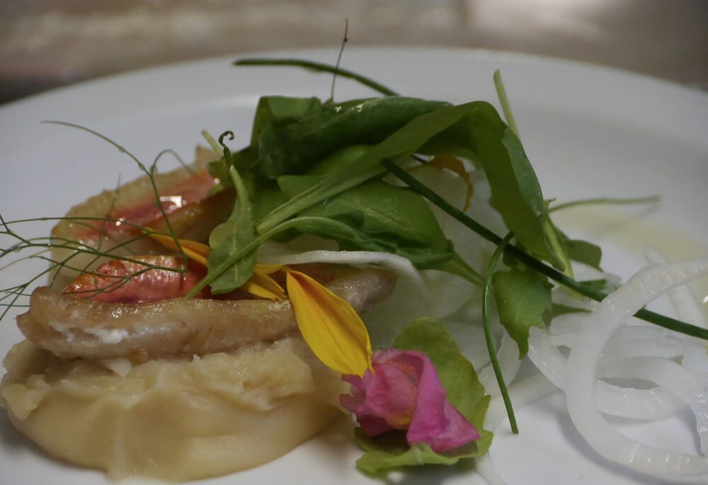 Фото Hotel Anita