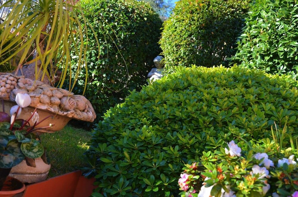 Фото B&b Villa Hirschen