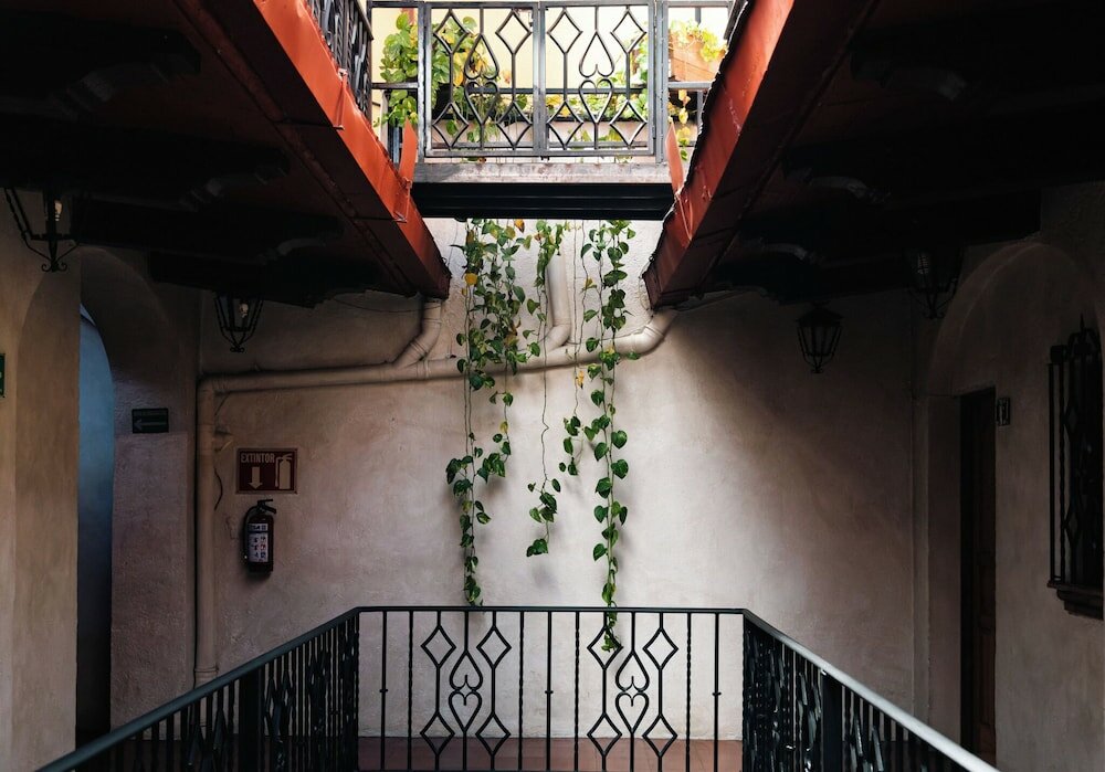 Фото Hotel Ánuá