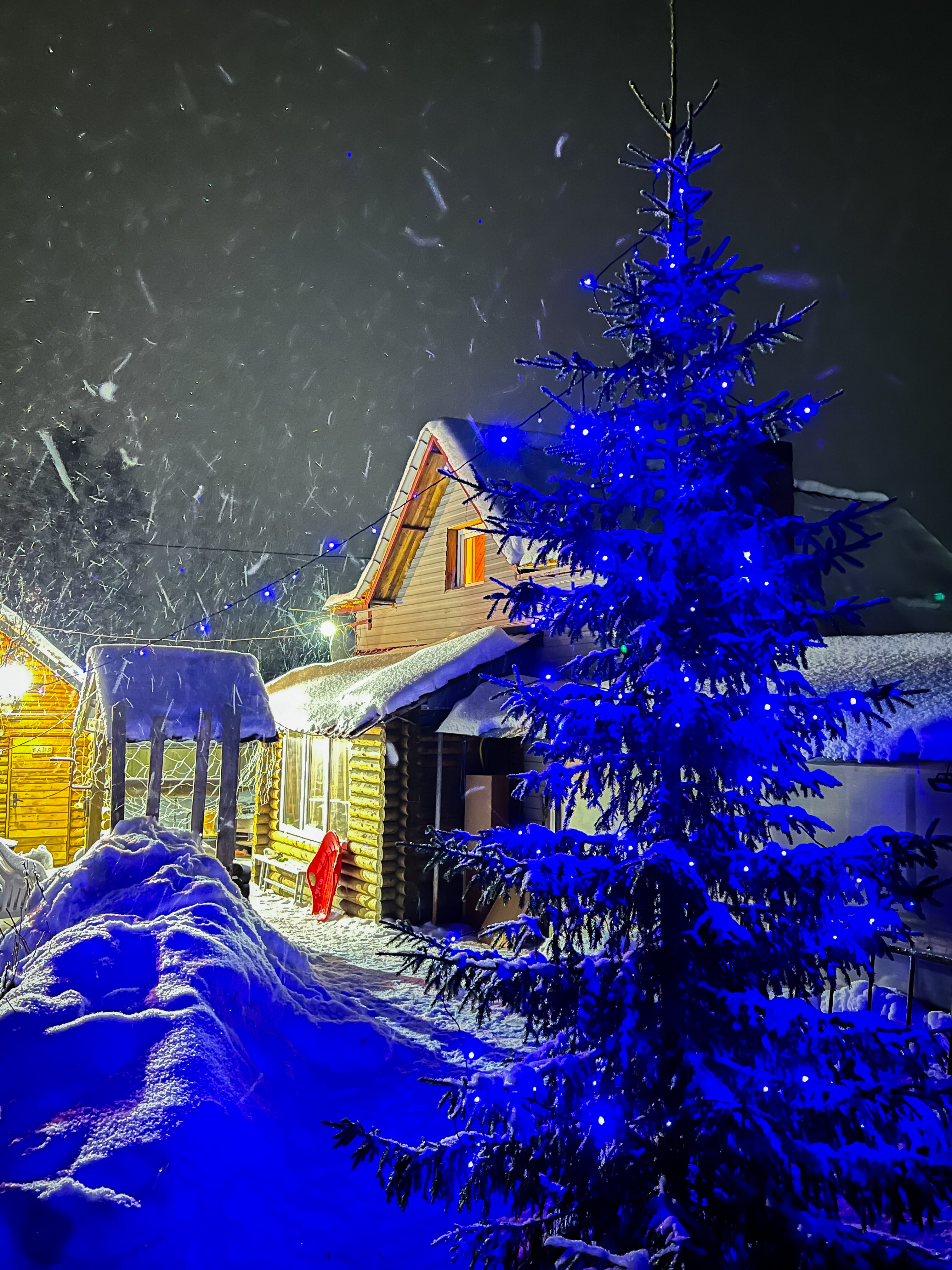 Фото АрДанТа