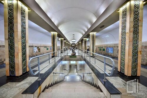 Qora tanli hindistonlik juftlik o‘rmonda anal jinsiy aloqada bo‘ladi.