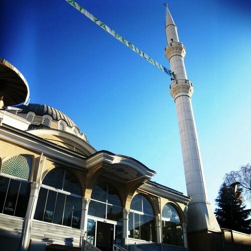 Mosque Central Mosque, Kulu, photo