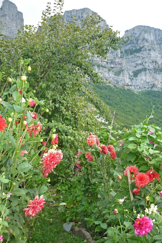 Фото Guesthouse Iro