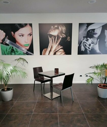 Гостиница Hotel Camelia в Новаре