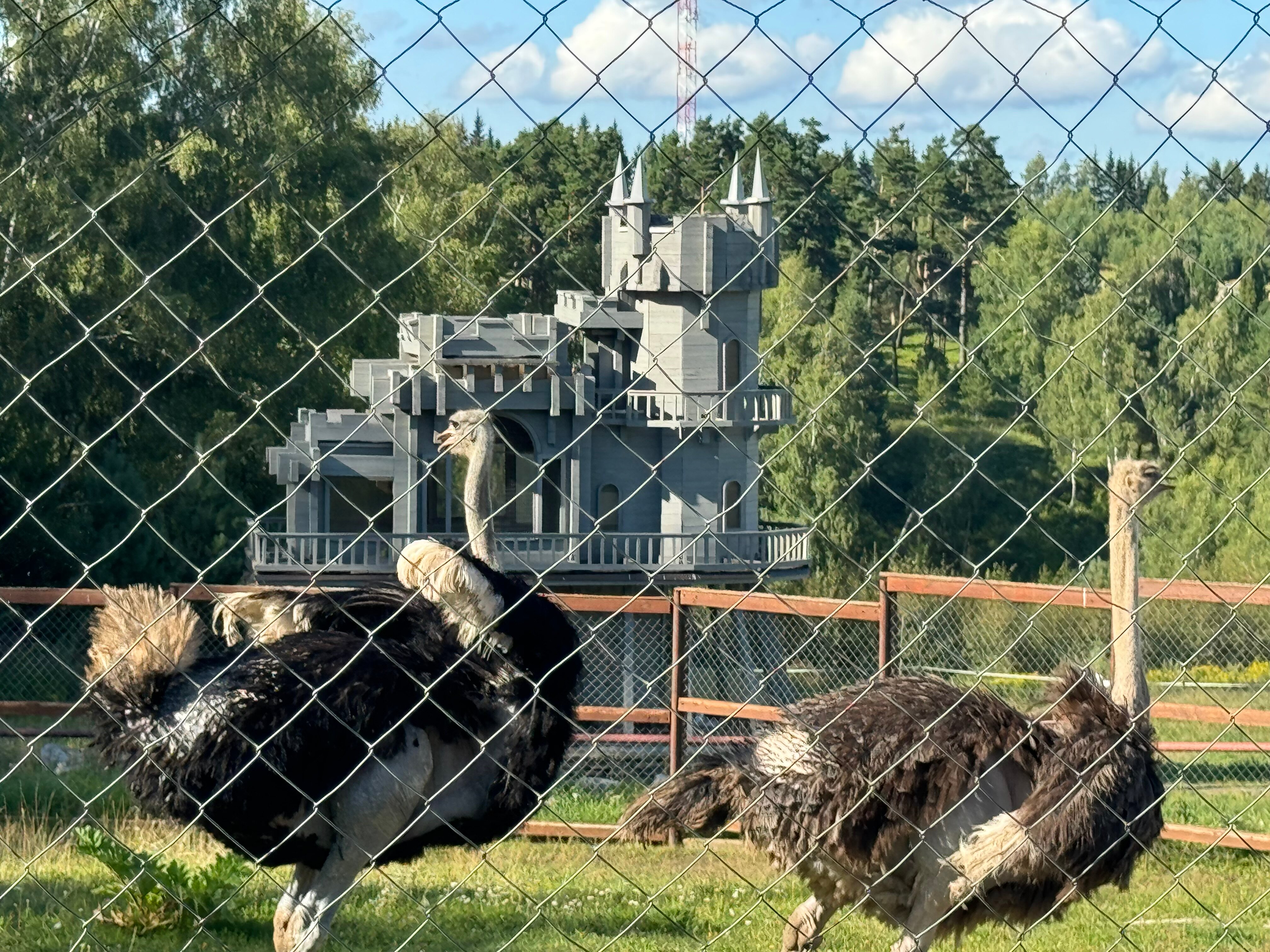 Фото Капитанский Остров 57