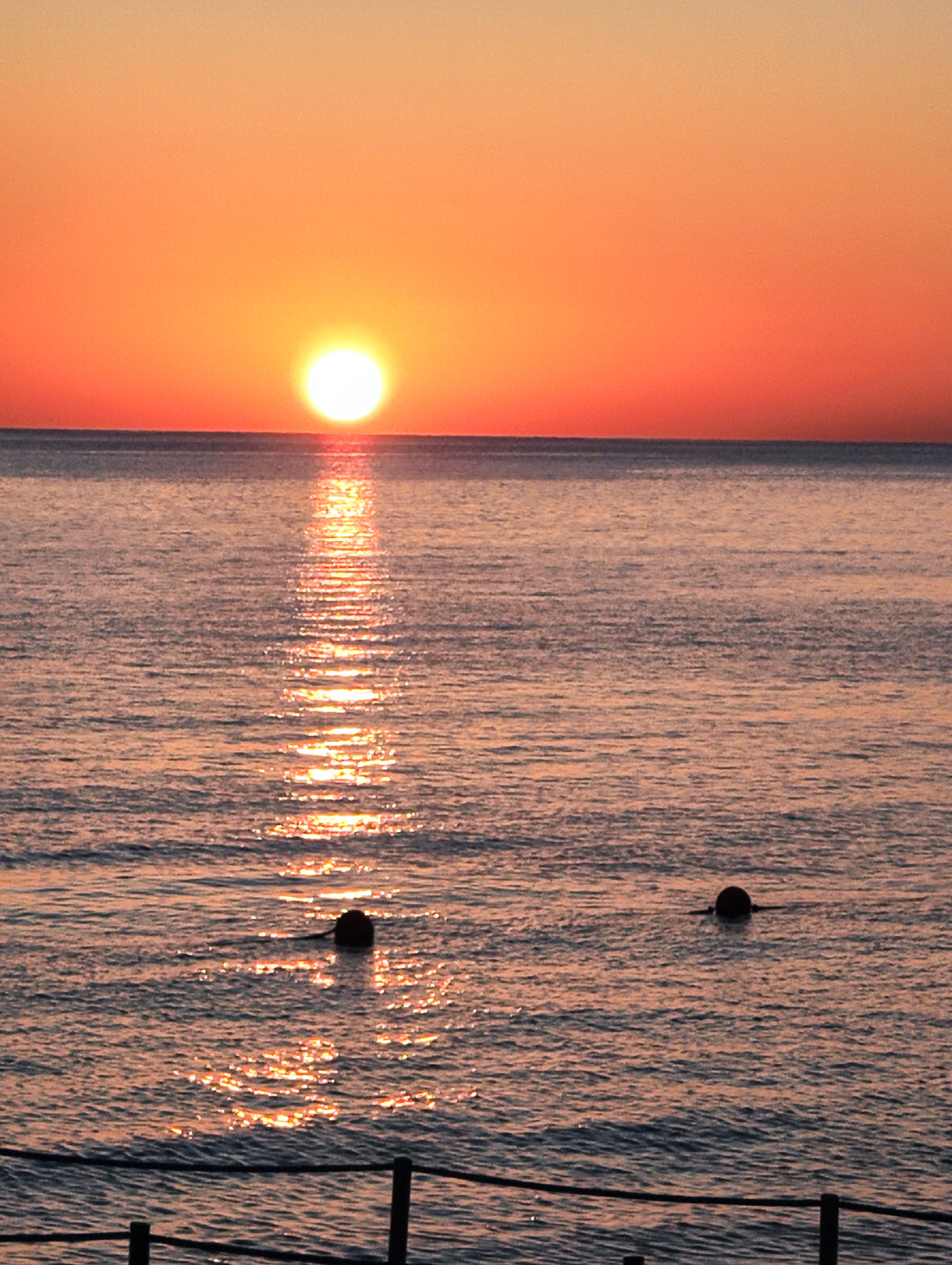 Фото Dreams Vacation