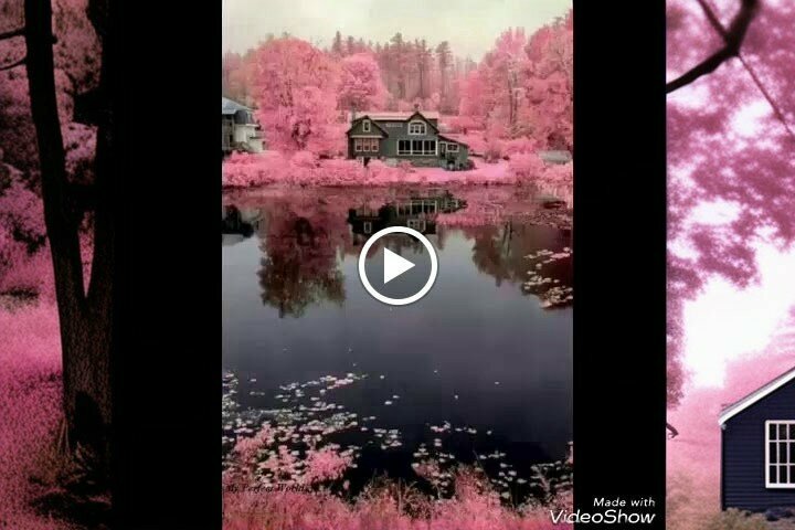 Computer store Hangar Bilgisayar Elektronik, Karaman, photo