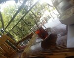 Guven Tea House (Malatya, Battalgazi, Hamidiye Mah., Şehit Fahri Koçyiğit Sok., 11A), restaurant