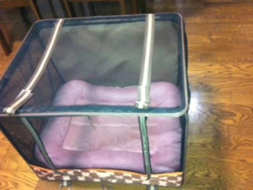 Фото Fuji Gotemba Condominium Tannpopo