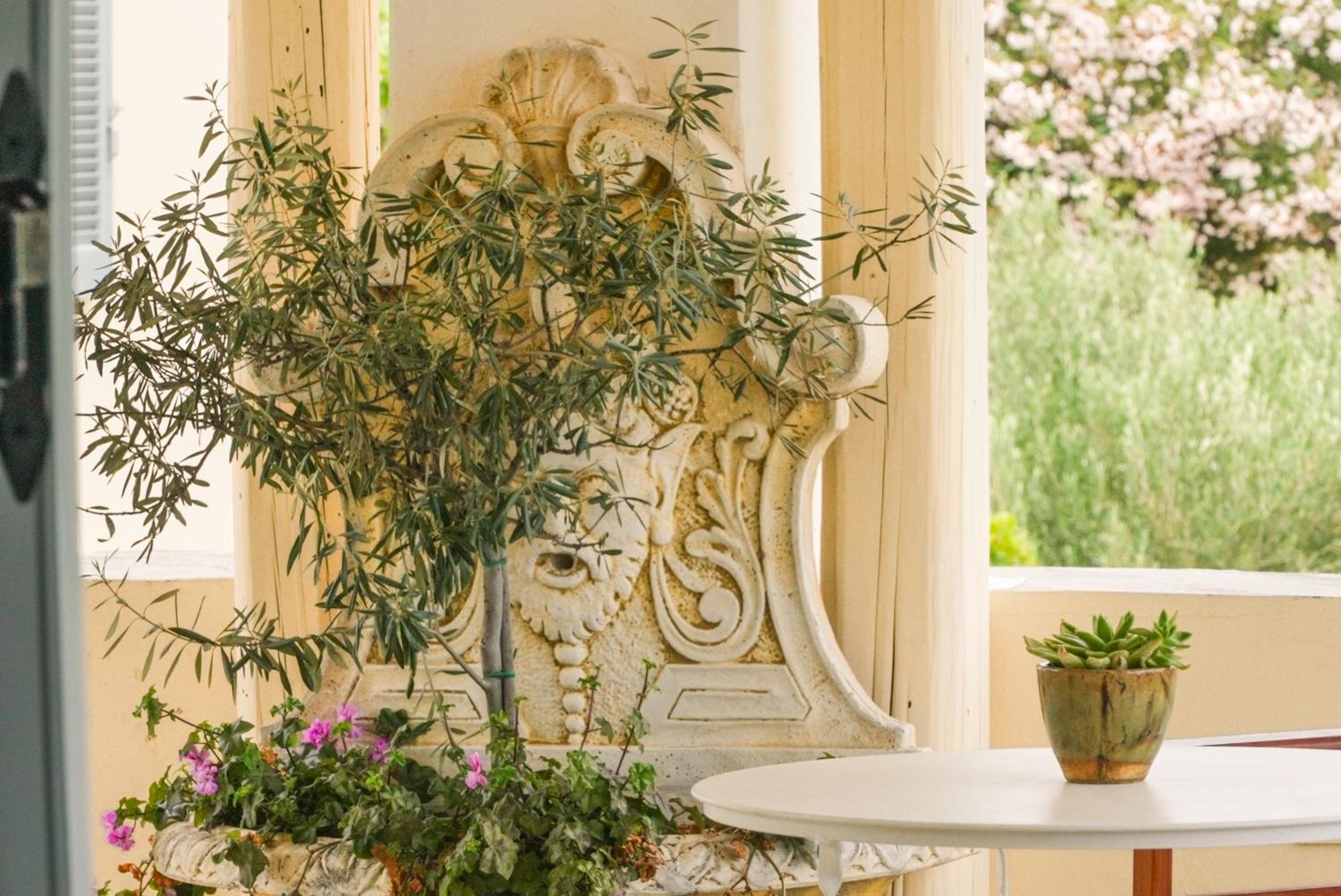 Фото Villa Nika Boutique Hotel