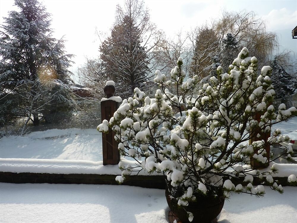 Фото Hotel Tyrolis