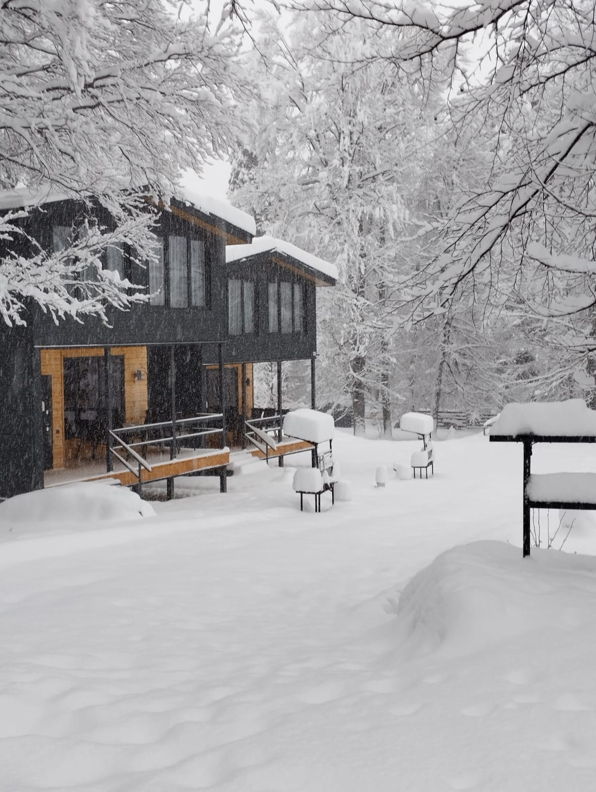 Фото ЗимаЛето