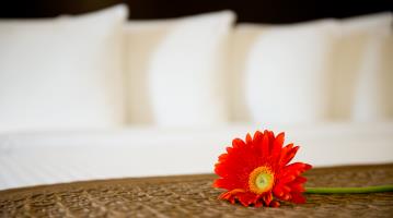 Фото Park Inn by Radisson Toronto - Markham