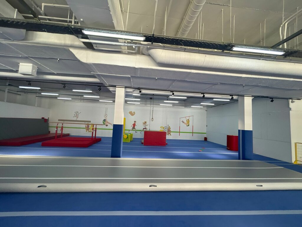 نادي رياضي، مجموعة European Gymnastics Center ، سان بطرسبرغ، صورة