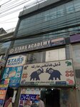 Stars Academy (Angoori Bagh, Aynaet Baag Street, 9), college
