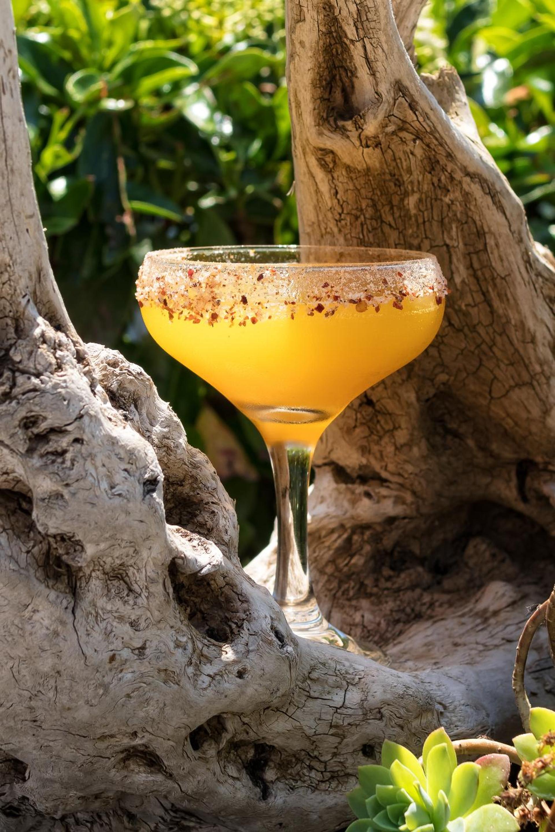 Фото Goudelis Apartments