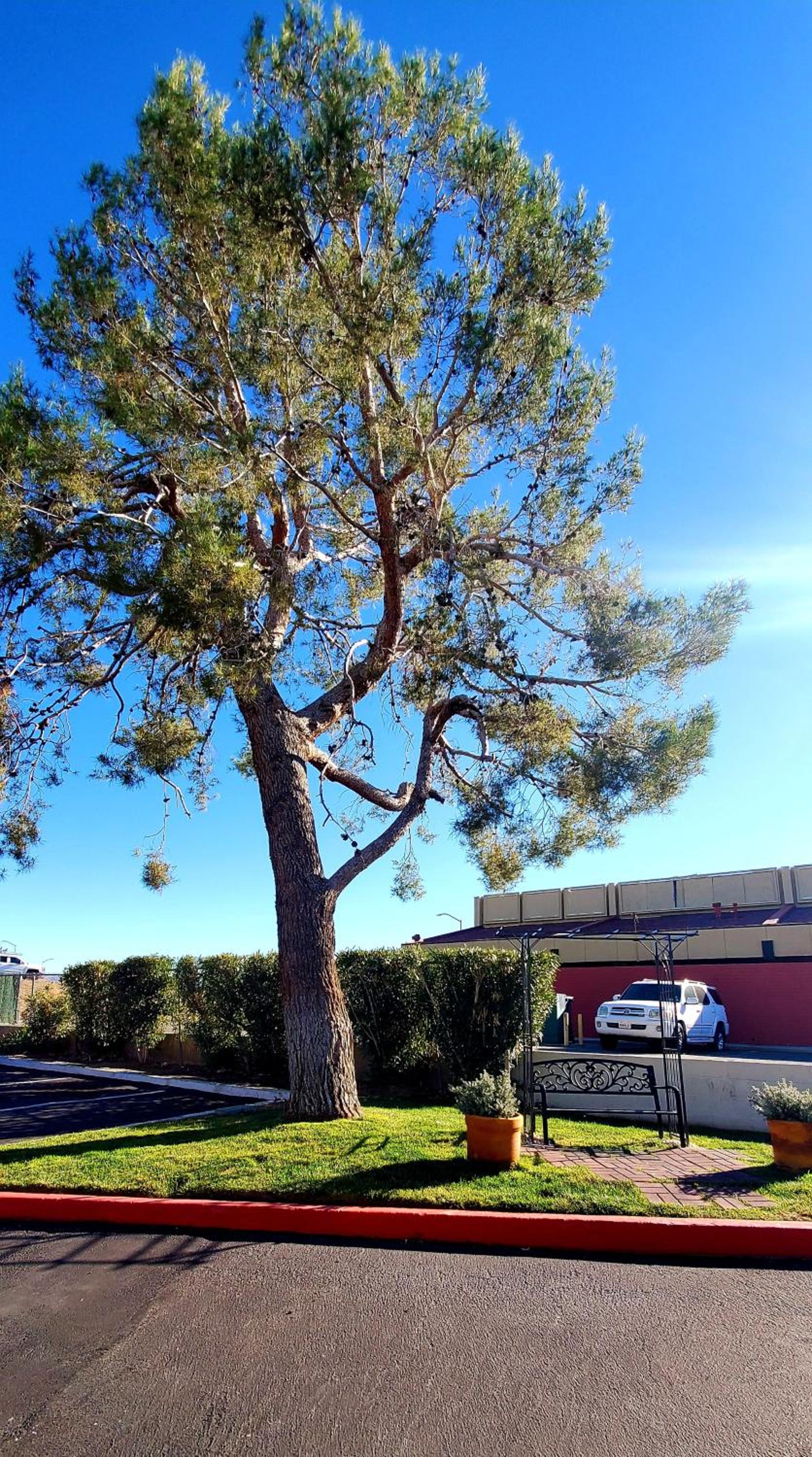 Фото Motel 6 Palmdale, Ca