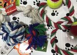 V mire zoo (Moskovskoye Highway, 61Ас1), pet shop