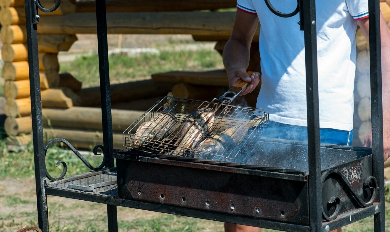 Фото Зеленые холмы