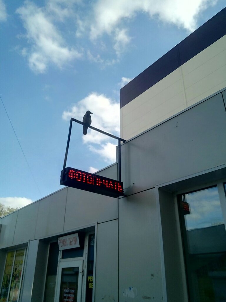 Copy center Scp Scan. Copy. Print, Astrahan, photo