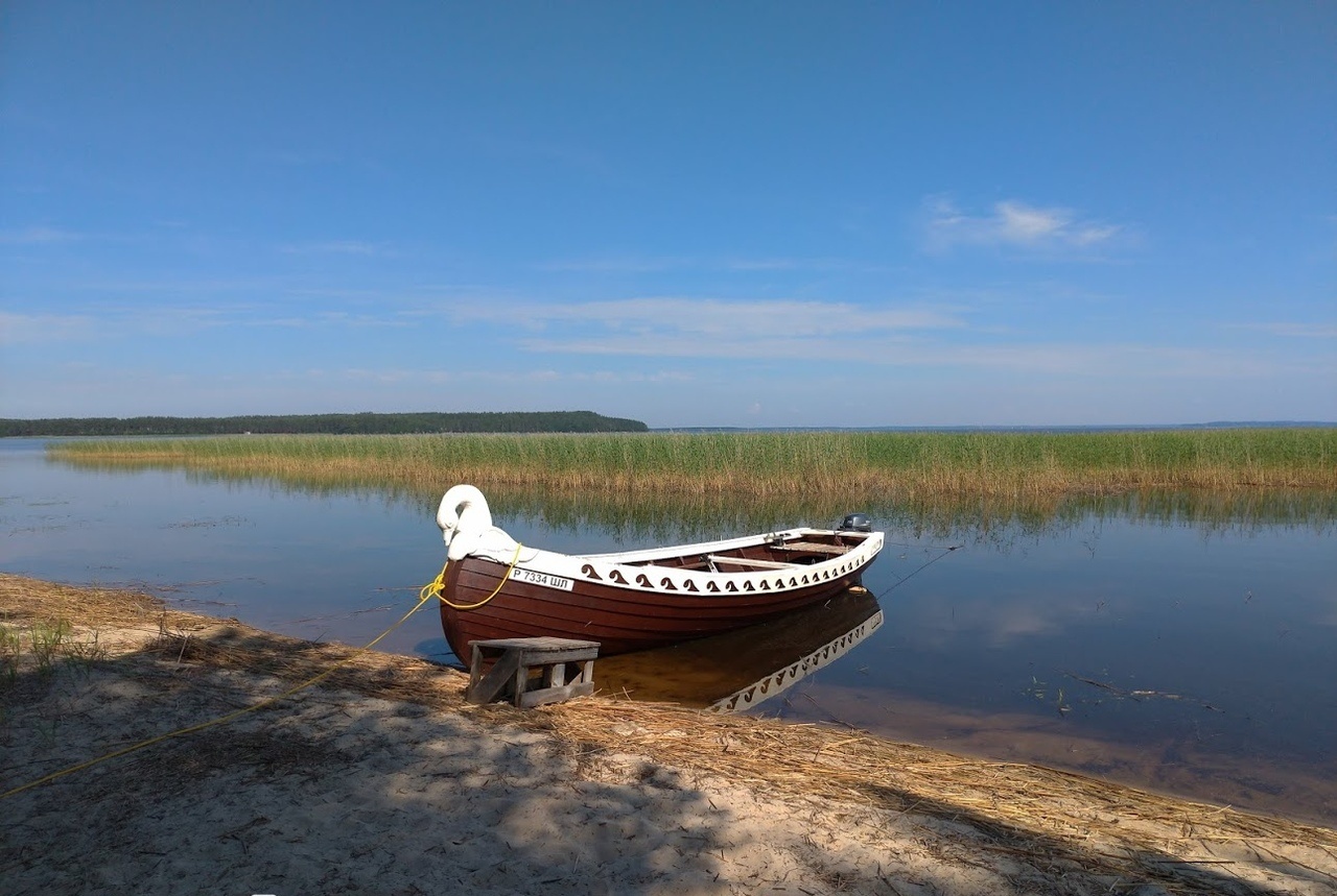 Фото Курмойла