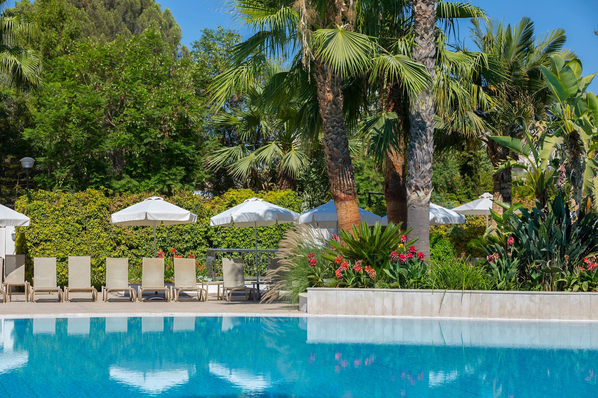 Фото Hilton Nicosia