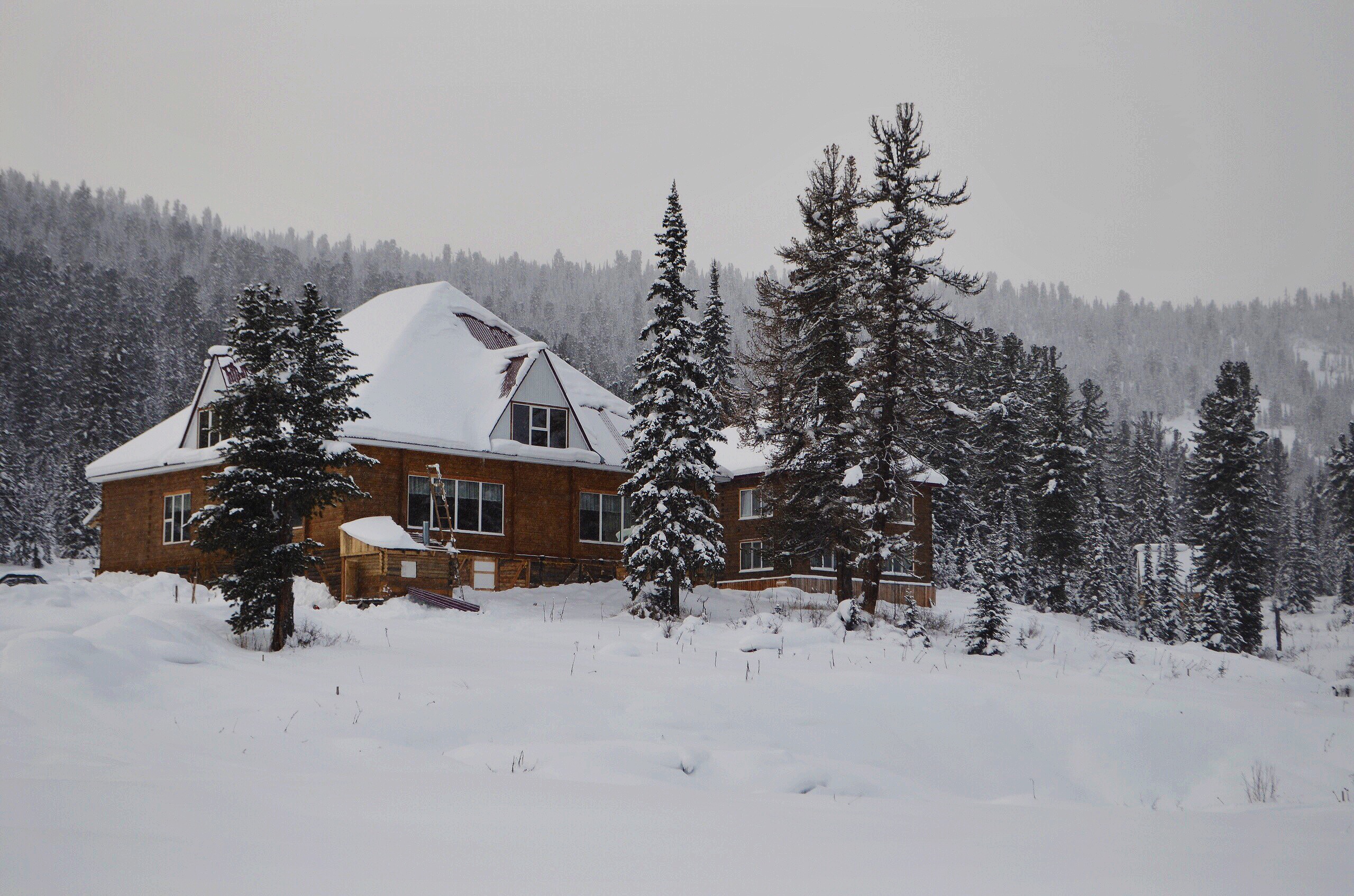 Фото Хозяин тайги Ергаки