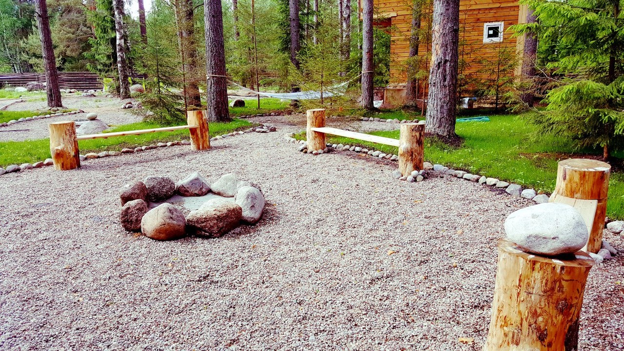 Фото Черная лиса