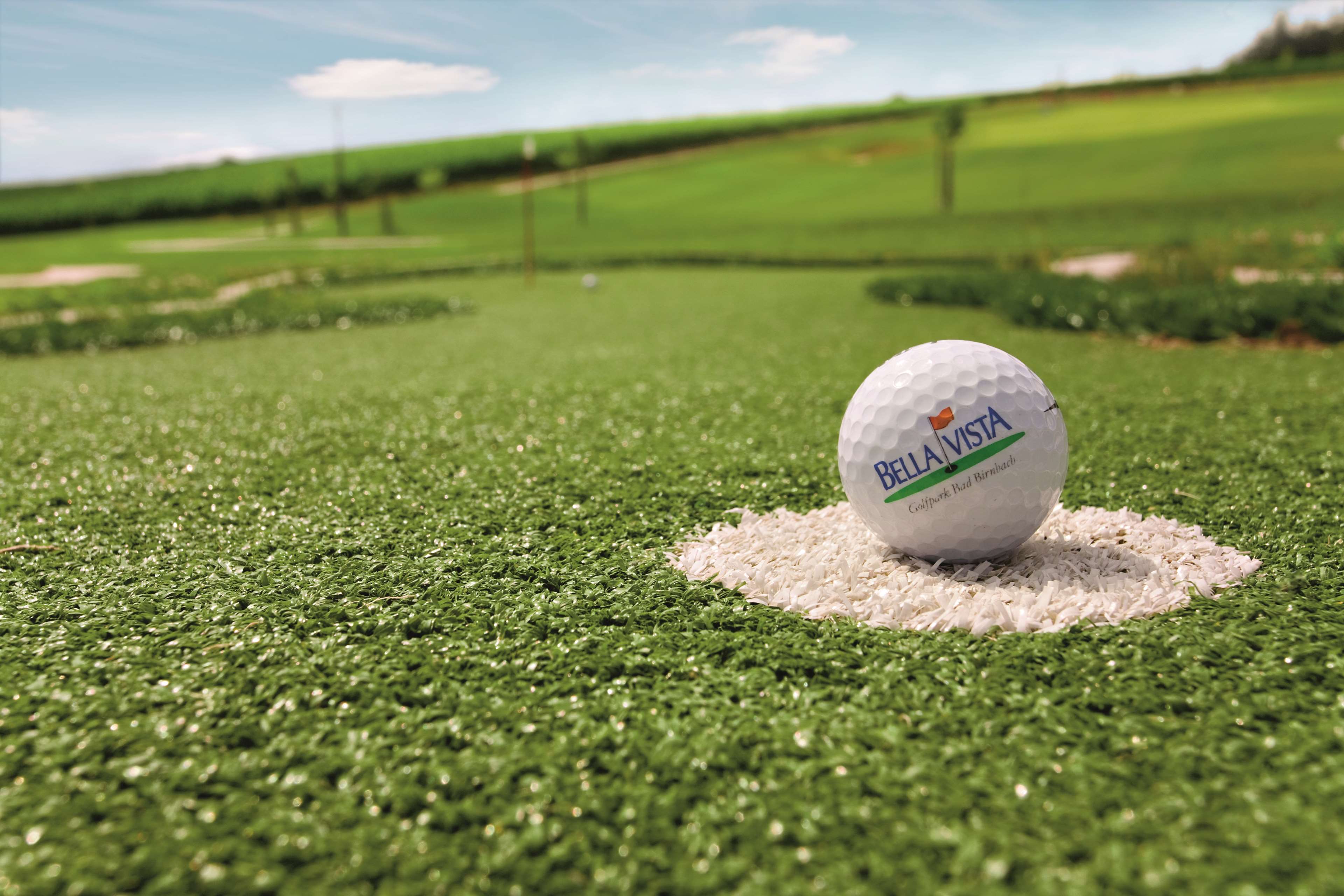 Фото Best Western Aparthotel Birnbachhoehe