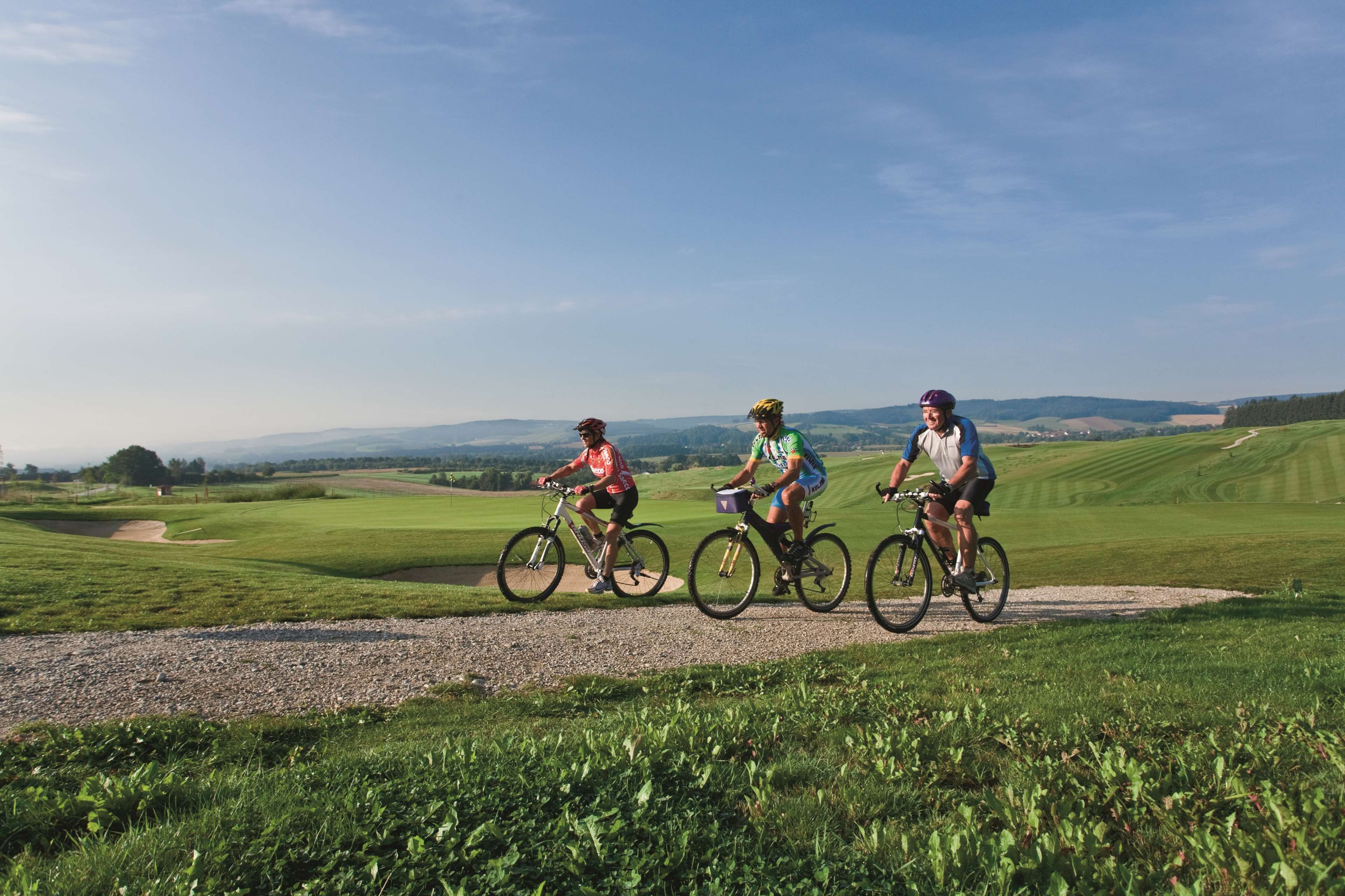 Фото Best Western Aparthotel Birnbachhoehe