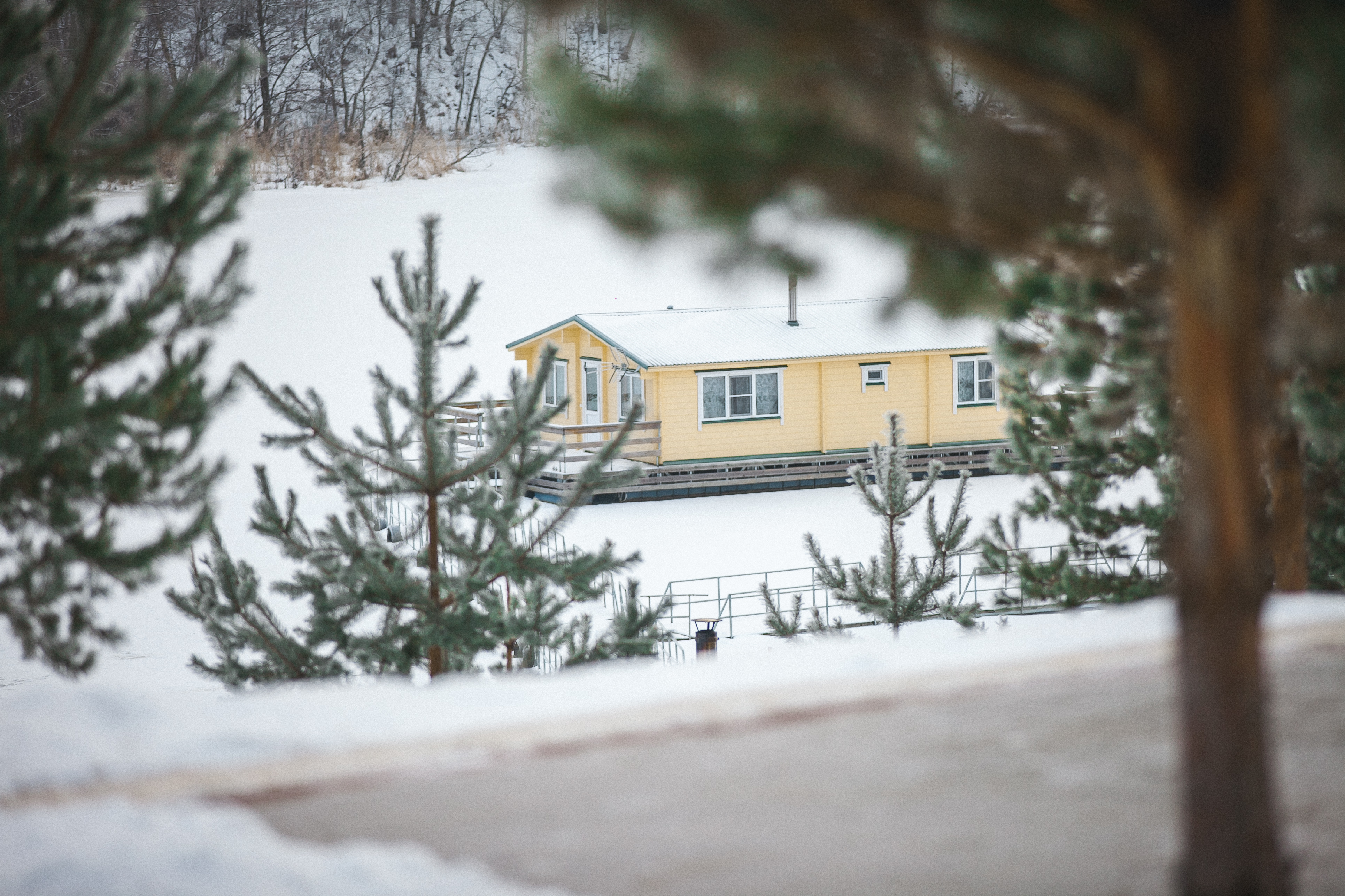 Фото Алёнушка