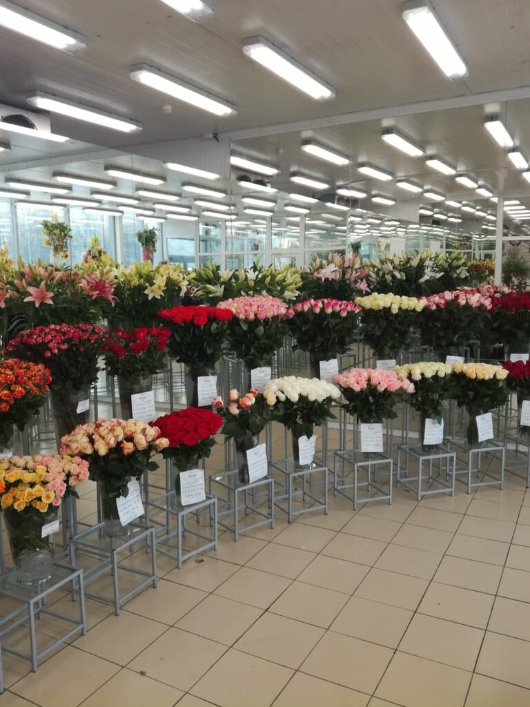 Магазин цветов ЦветыОптРозница, Санкт‑Петербург, фото