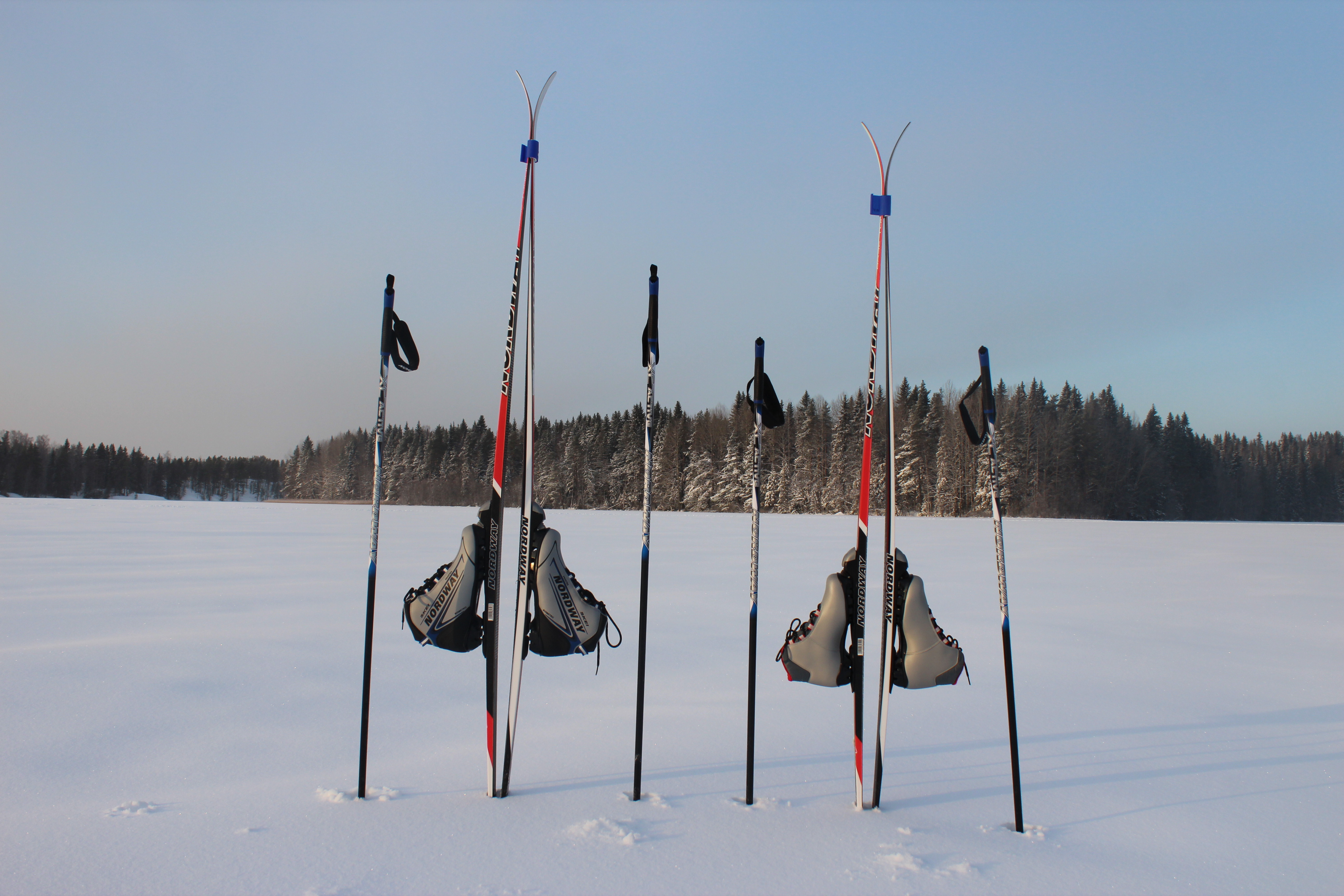 Фото Филина Гора